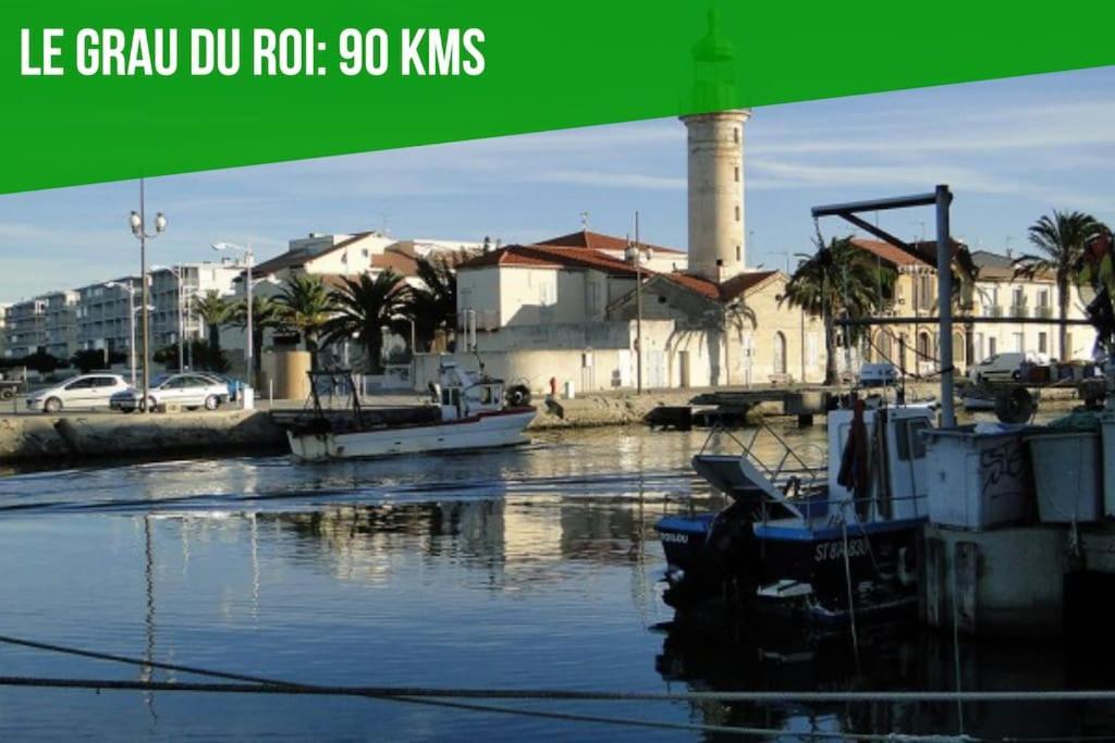 Appartement Le Saint-laurent - Parking Gratuit - Terrasse - Wi-fi Avignon